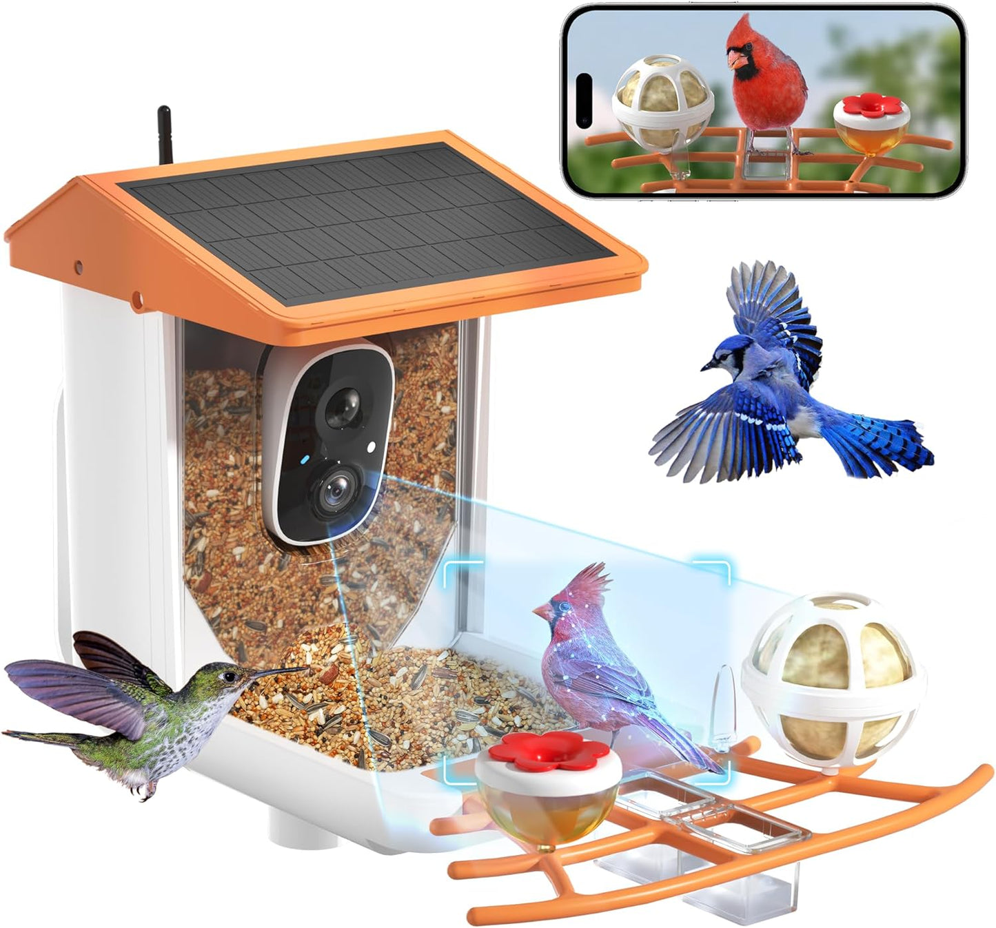 Solar-Powered 1296P HD Smart Bird Feeder with AI, Auto Video Capture & Motion Detection