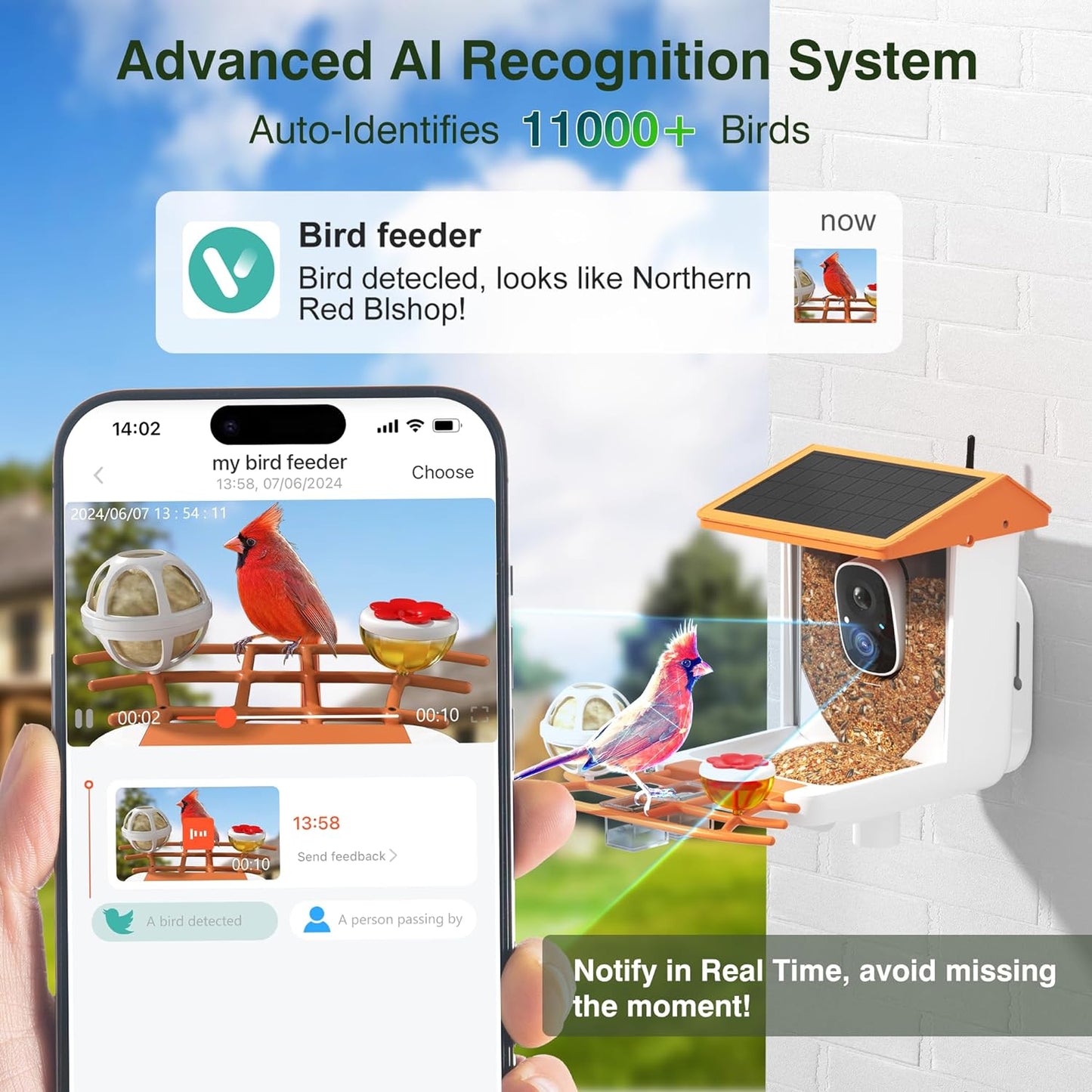 Solar-Powered 1296P HD Smart Bird Feeder with AI, Auto Video Capture & Motion Detection