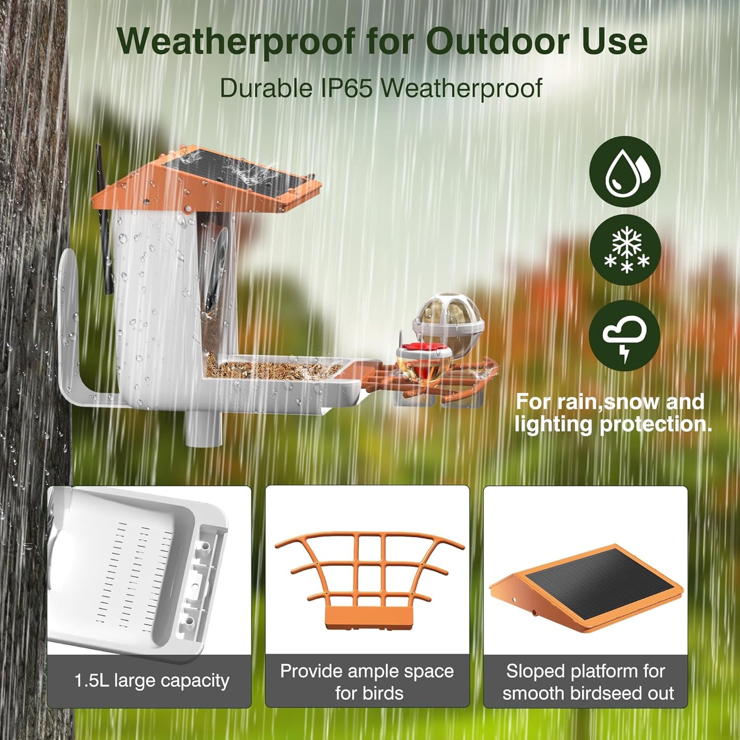 Solar-Powered 1296P HD Smart Bird Feeder with AI, Auto Video Capture & Motion Detection