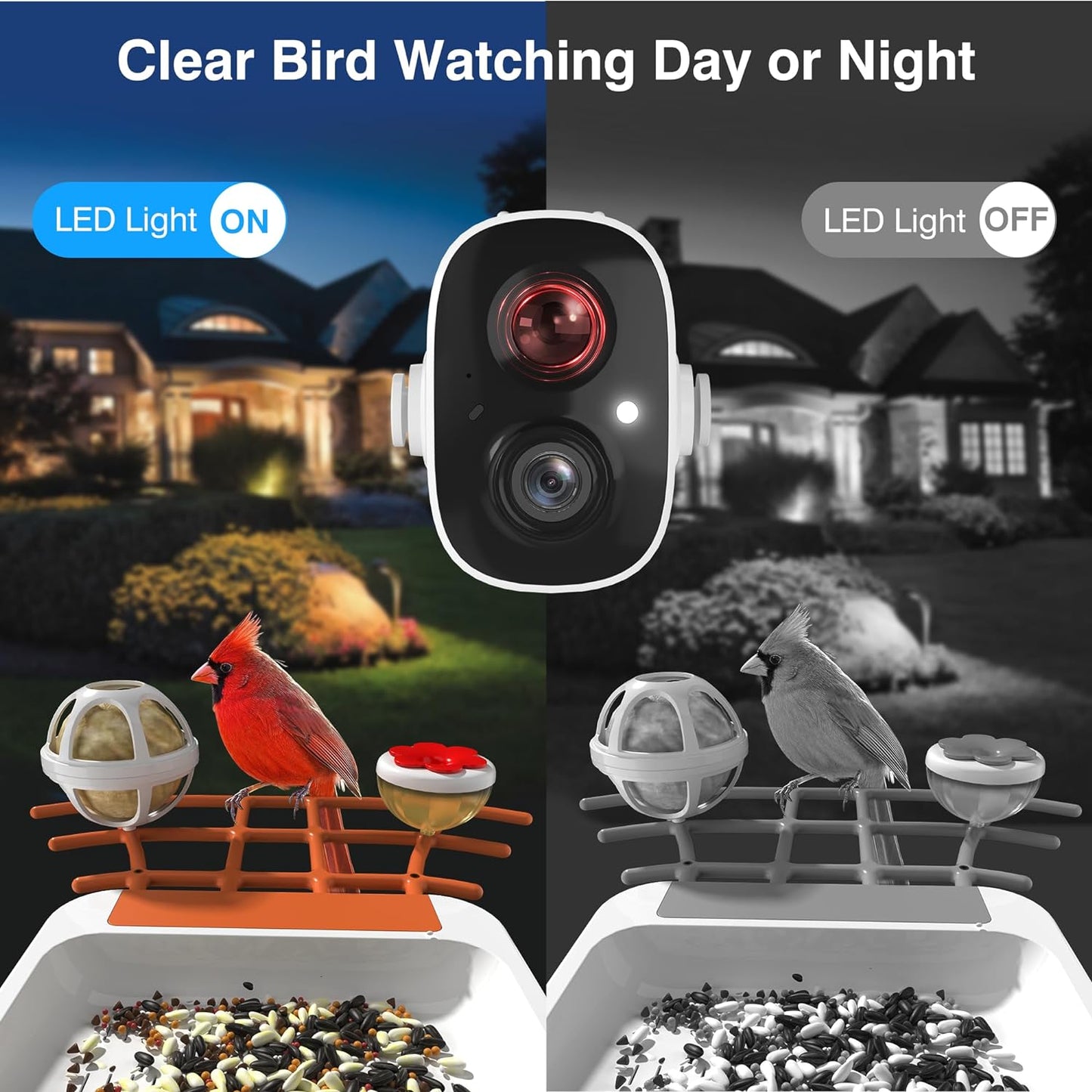 Solar-Powered 1296P HD Smart Bird Feeder with AI, Auto Video Capture & Motion Detection