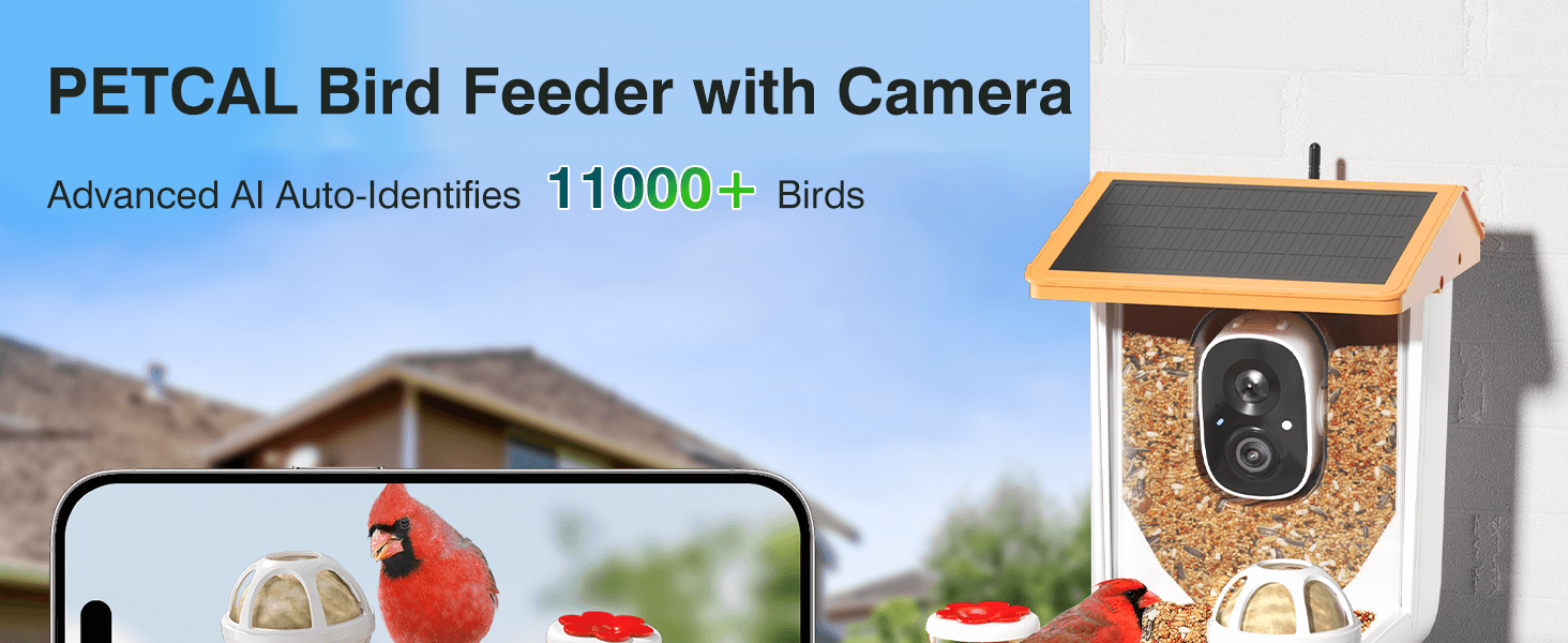 PETCAL Bird Feeder with Camera