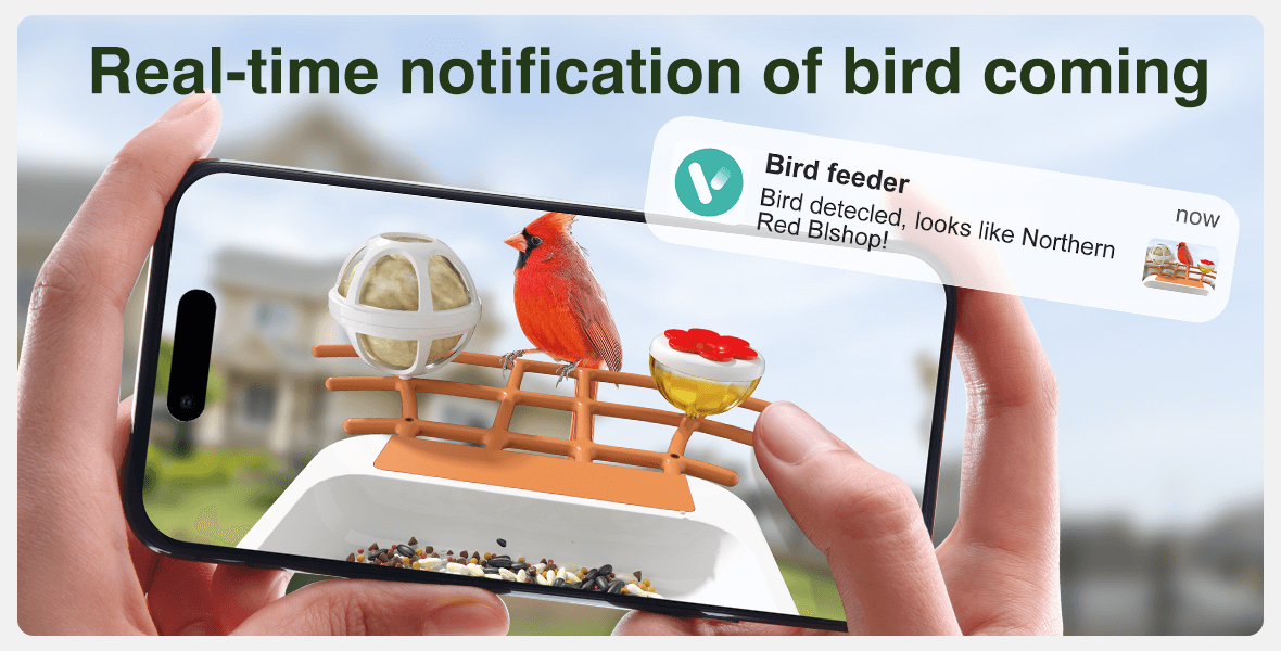 Real-time notification of bird coming